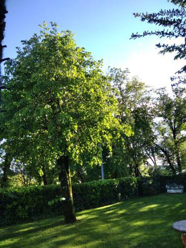 Apartamento Casa Via Castelmonte