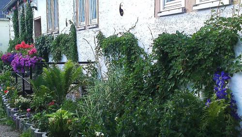 Apartamento Sapana Ferienwohnungen