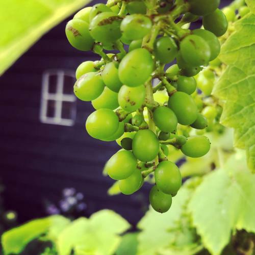Agroturismo B&B Puur Drenthe