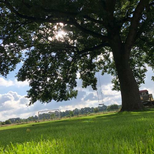 Agroturismo B&B Puur Drenthe