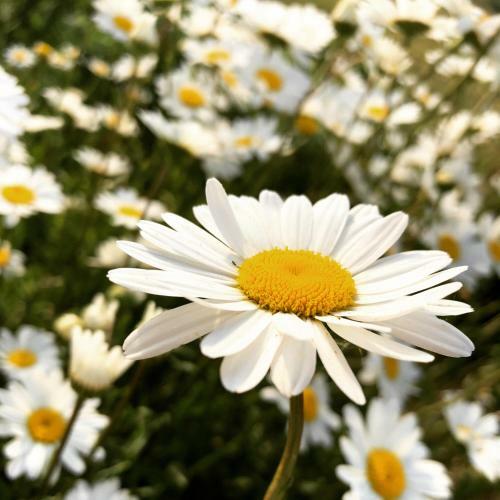 Agroturismo B&B Puur Drenthe