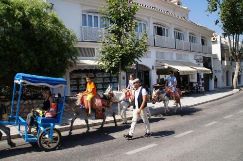 Elviria Apartment