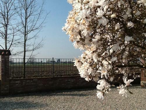 B&B Cascina Baraggione