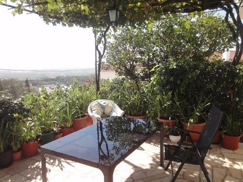 Orchidea Terrace