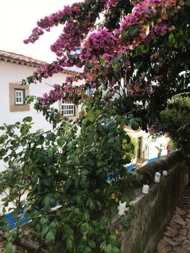 Hostal Casa Picva