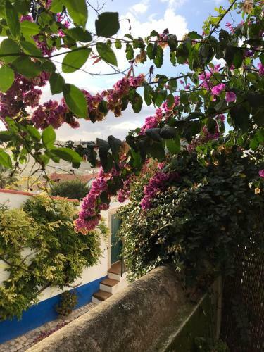 Hostal Casa Picva