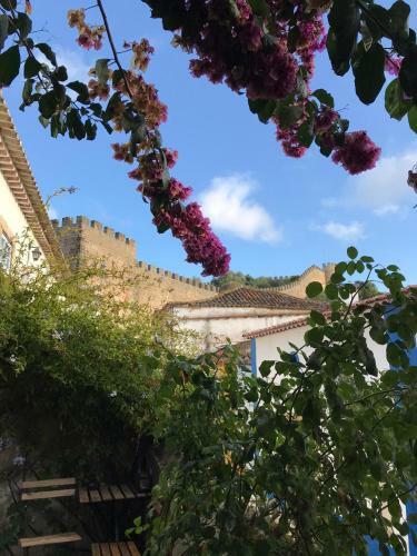 Hostal Casa Picva