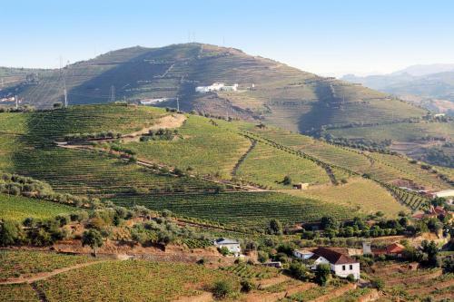 Agroturismo Quinta Da Pitarrela