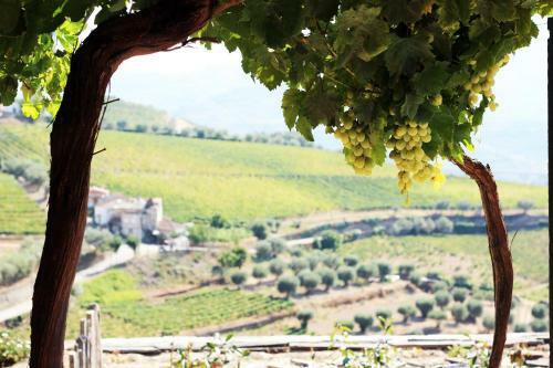 Agroturismo Quinta Da Pitarrela