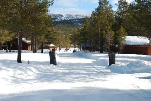 Sjodalen Hyttetun Og Camping