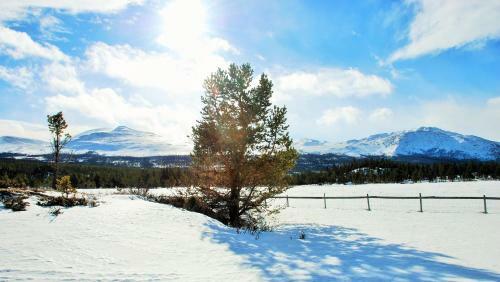 Sjodalen Hyttetun Og Camping