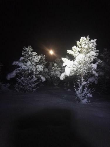 Sjodalen Hyttetun Og Camping