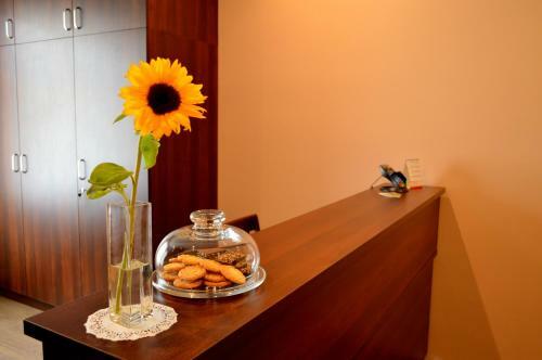 Hostel Kasztan