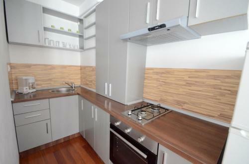 Aparthotel Mosilor Apartments