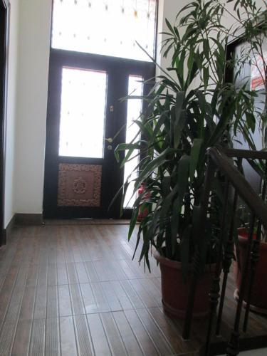 Joe Hostel