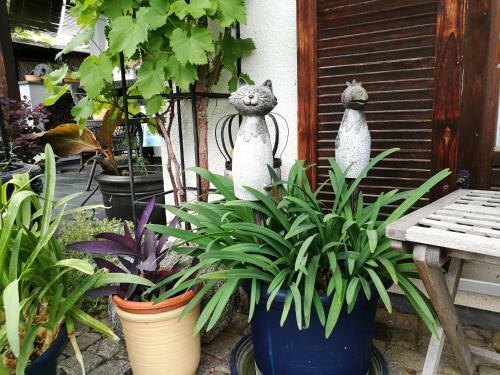 Apartment Haus Merlin Am B�ckelsberg
