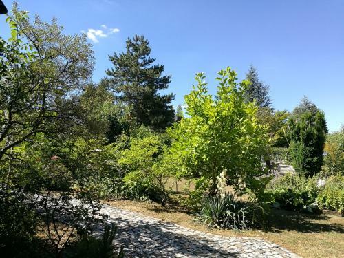 Apartment Haus Merlin Am B�ckelsberg