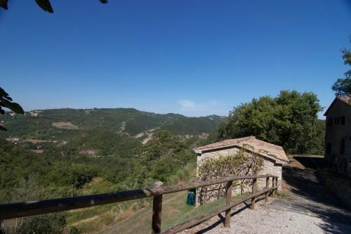Campo Della Fiora