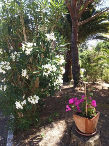 Apartamento Gigaro