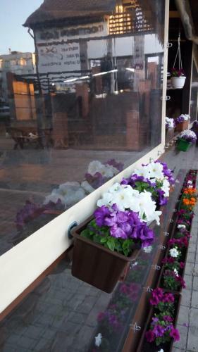 Hotel Guest House Strekoza