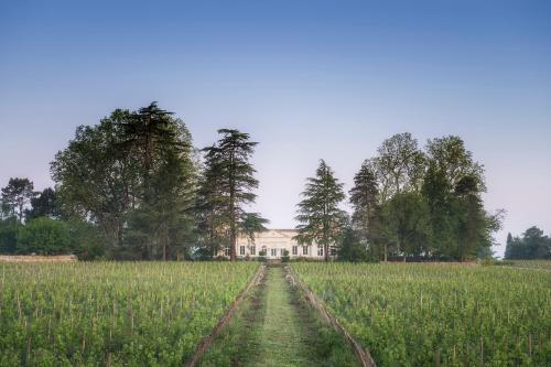 Bed & Breakfast Ch�teau Le Pape