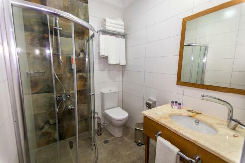 Hotel Business Palas Otel