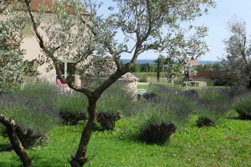 Les Jardins De Bouteille