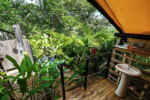 Hotel Flor Y Bambu