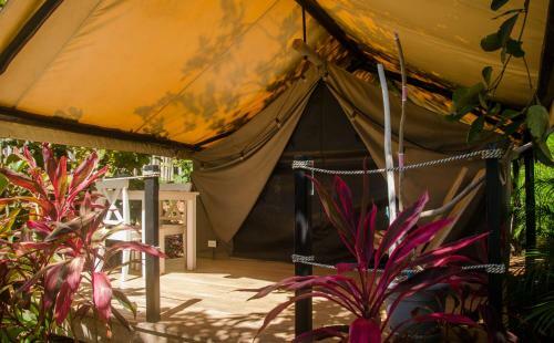 Hotel Flor Y Bambu