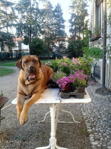 Bed & Breakfast Invilla Bnb
