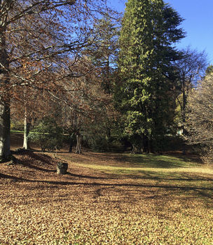 Villa Civenna Home & Garden
