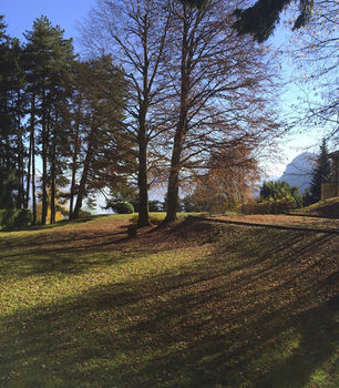 Villa Civenna Home & Garden