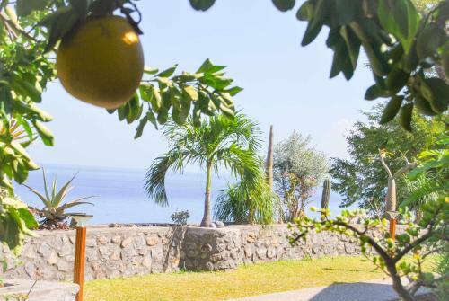 Apartamento Cap Soleil