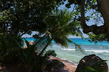 Hotel Le Relax Luxury Lodge