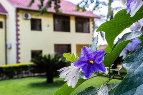 Ashanti-lodge