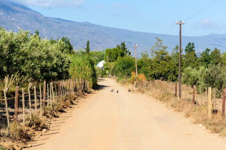 Agroturismo Blue Cow Barn - Boutique Farm