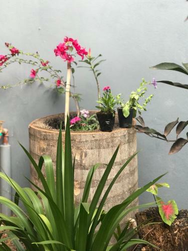 Apartamento La Guadalupe