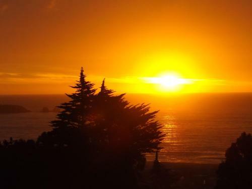Apartamento Caba�a Little Forest