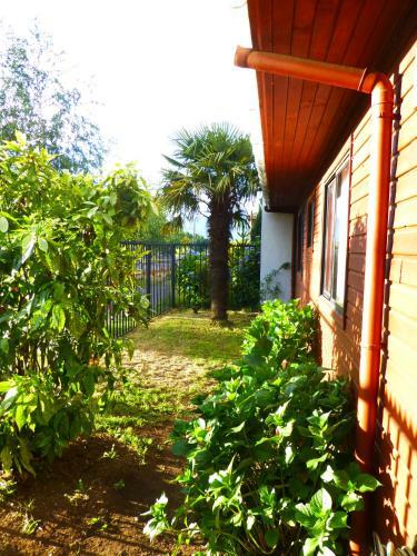 Hostal El Puconino Hostel