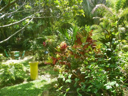 Hotel Amanwana Ecofinca