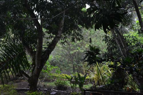 Hotel Amanwana Ecofinca