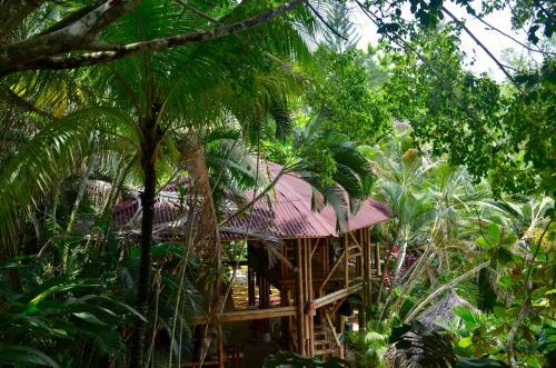 Hotel Amanwana Ecofinca