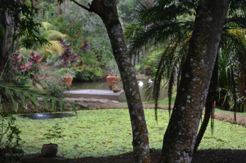 Hotel Amanwana Ecofinca