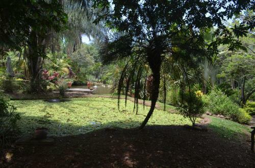Hotel Amanwana Ecofinca