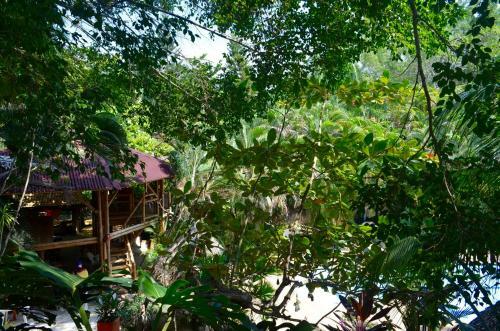 Hotel Amanwana Ecofinca