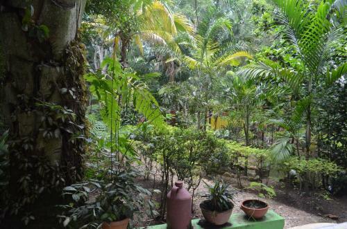 Hotel Amanwana Ecofinca