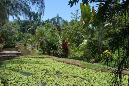 Hotel Amanwana Ecofinca