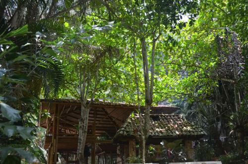 Hotel Amanwana Ecofinca