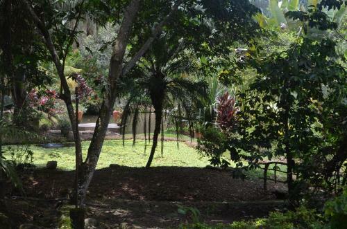 Hotel Amanwana Ecofinca