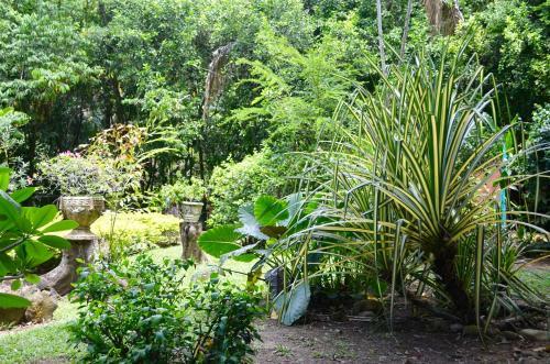 Hotel Amanwana Ecofinca